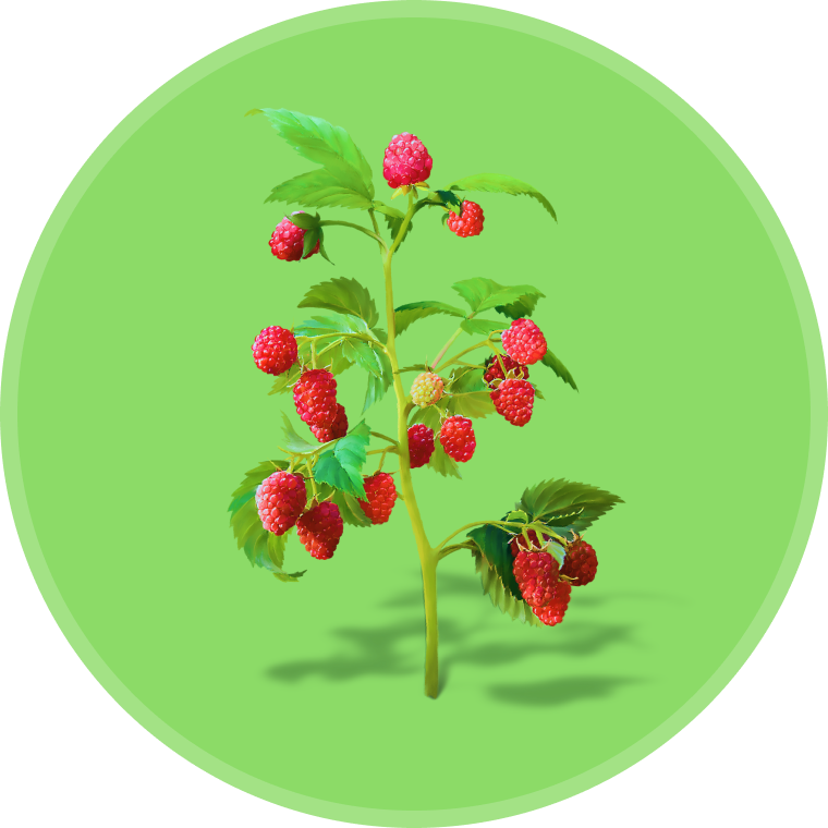 Изображение категории 'Растения'